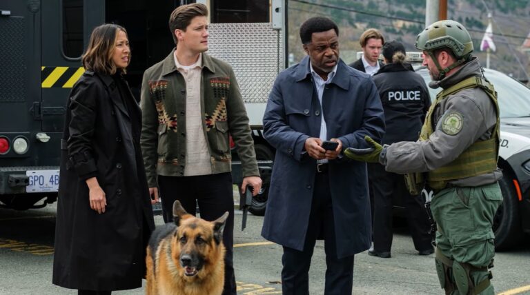 Where to Watch Hudson and Rex Season 9 Full Episodes: US Streaming Guide